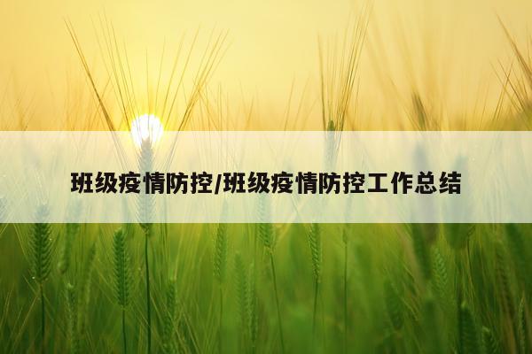 班级疫情防控/班级疫情防控工作总结