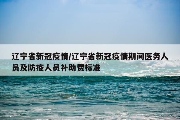 辽宁省新冠疫情/辽宁省新冠疫情期间医务人员及防疫人员补助费标准