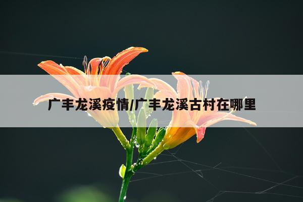 广丰龙溪疫情/广丰龙溪古村在哪里
