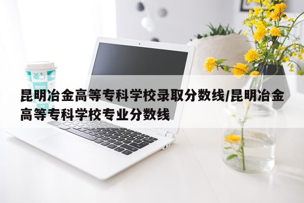 昆明冶金高等专科学校录取分数线/昆明冶金高等专科学校专业分数线