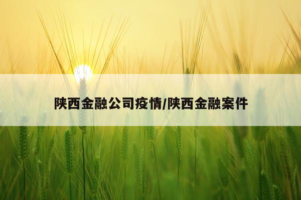 陕西金融公司疫情/陕西金融案件