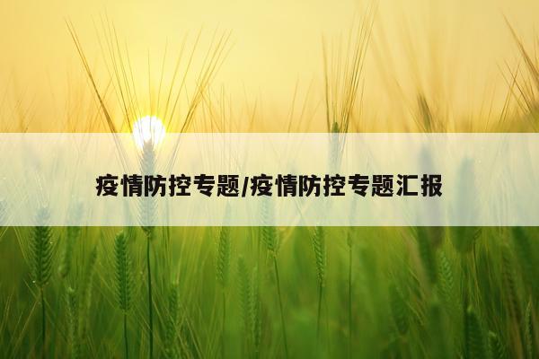 疫情防控专题/疫情防控专题汇报