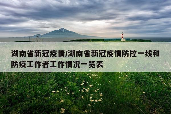 湖南省新冠疫情/湖南省新冠疫情防控一线和防疫工作者工作情况一览表