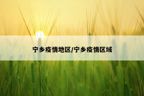 宁乡疫情地区/宁乡疫情区域