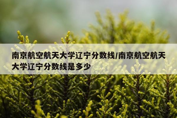 南京航空航天大学辽宁分数线/南京航空航天大学辽宁分数线是多少