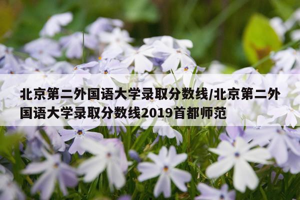 北京第二外国语大学录取分数线/北京第二外国语大学录取分数线2019首都师范