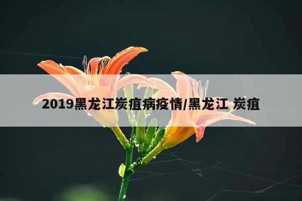 2019黑龙江炭疽病疫情/黑龙江 炭疽