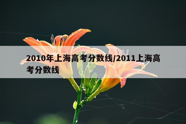 2010年上海高考分数线/2011上海高考分数线
