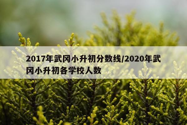 2017年武冈小升初分数线/2020年武冈小升初各学校人数