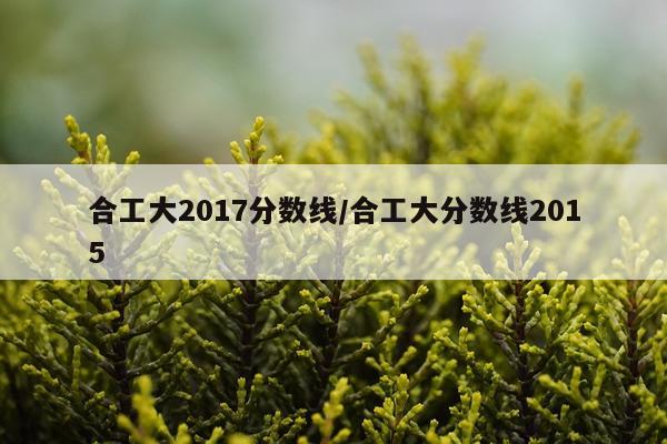 合工大2017分数线/合工大分数线2015