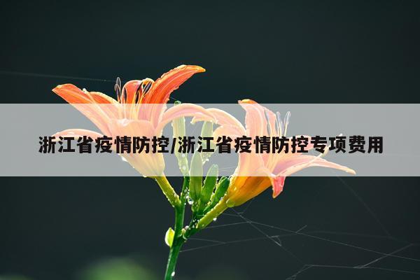 浙江省疫情防控/浙江省疫情防控专项费用