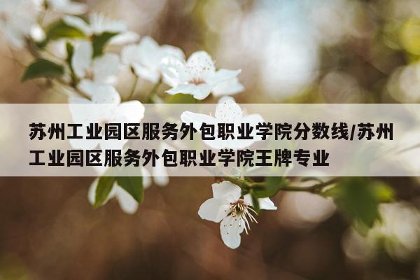 苏州工业园区服务外包职业学院分数线/苏州工业园区服务外包职业学院王牌专业