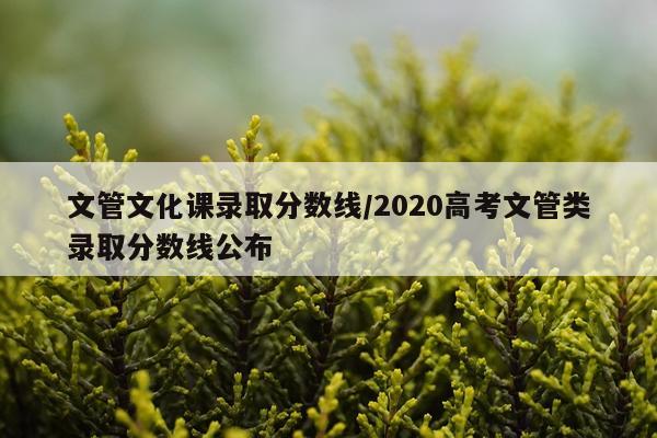 文管文化课录取分数线/2020高考文管类录取分数线公布