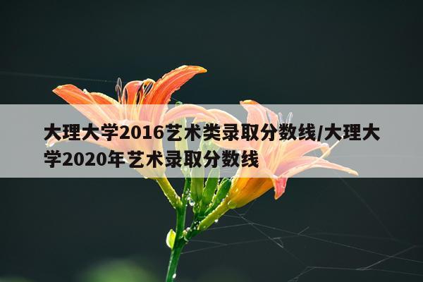 大理大学2016艺术类录取分数线/大理大学2020年艺术录取分数线