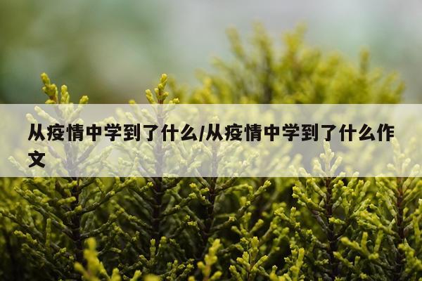 从疫情中学到了什么/从疫情中学到了什么作文
