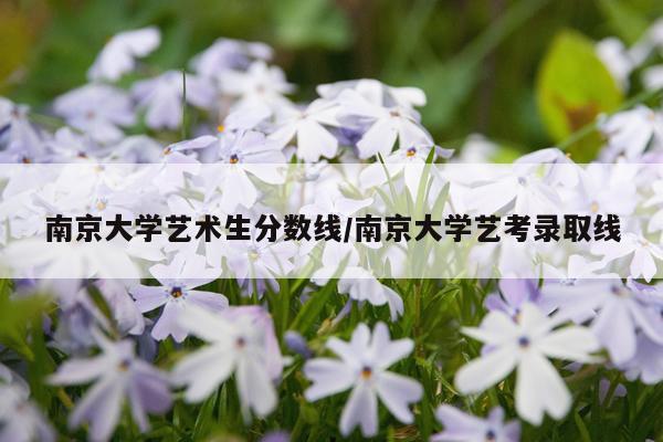 南京大学艺术生分数线/南京大学艺考录取线