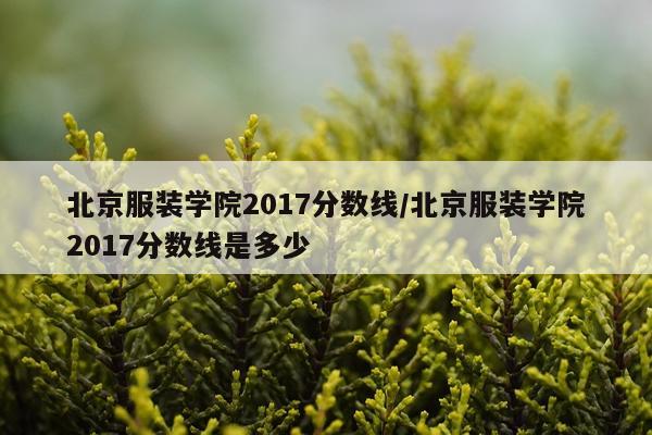 北京服装学院2017分数线/北京服装学院2017分数线是多少