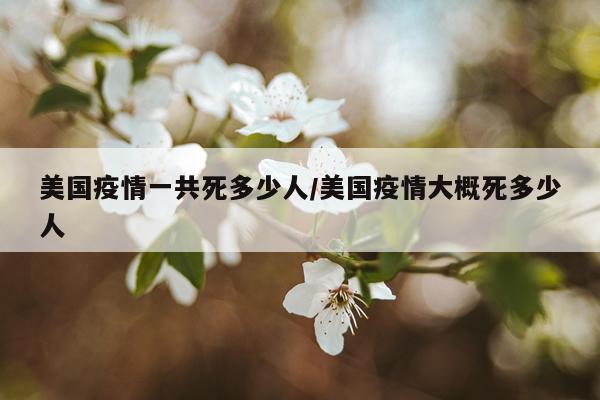 美国疫情一共死多少人/美国疫情大概死多少人
