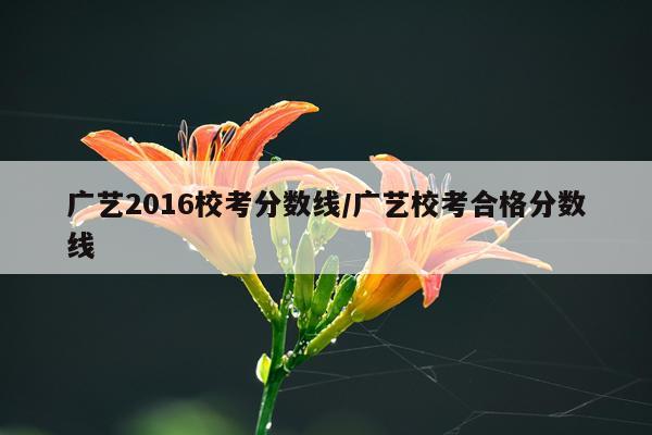 广艺2016校考分数线/广艺校考合格分数线