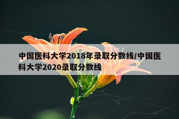 中国医科大学2018年录取分数线/中国医科大学2020录取分数线