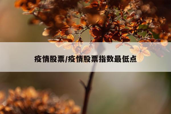 疫情股票/疫情股票指数最低点