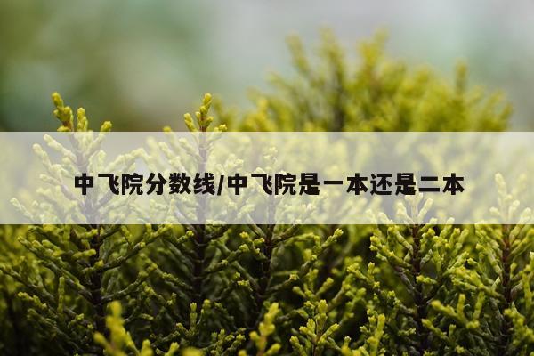 中飞院分数线/中飞院是一本还是二本