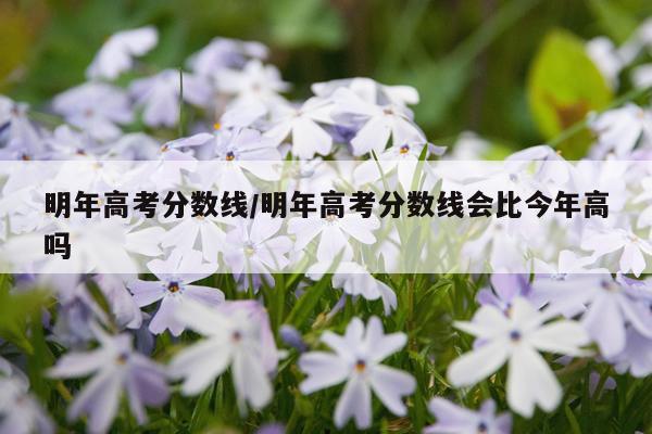 明年高考分数线/明年高考分数线会比今年高吗