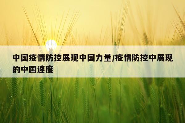 中国疫情防控展现中国力量/疫情防控中展现的中国速度