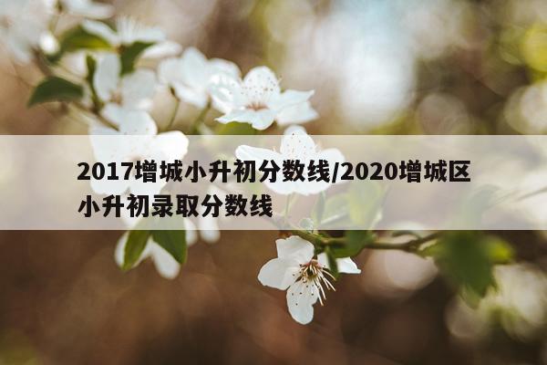 2017增城小升初分数线/2020增城区小升初录取分数线