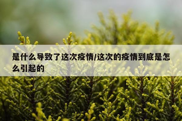 是什么导致了这次疫情/这次的疫情到底是怎么引起的