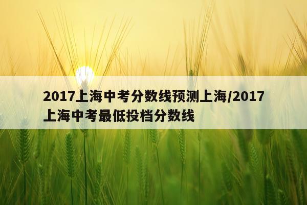 2017上海中考分数线预测上海/2017上海中考最低投档分数线