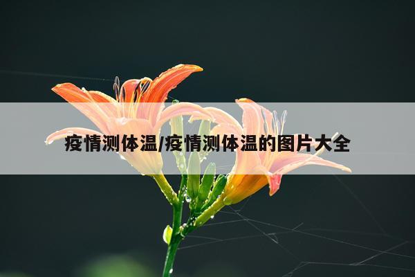 疫情测体温/疫情测体温的图片大全