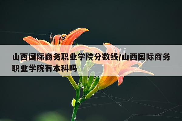 山西国际商务职业学院分数线/山西国际商务职业学院有本科吗