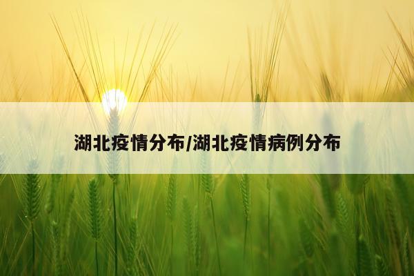 湖北疫情分布/湖北疫情病例分布