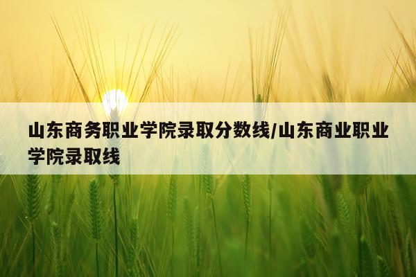 山东商务职业学院录取分数线/山东商业职业学院录取线