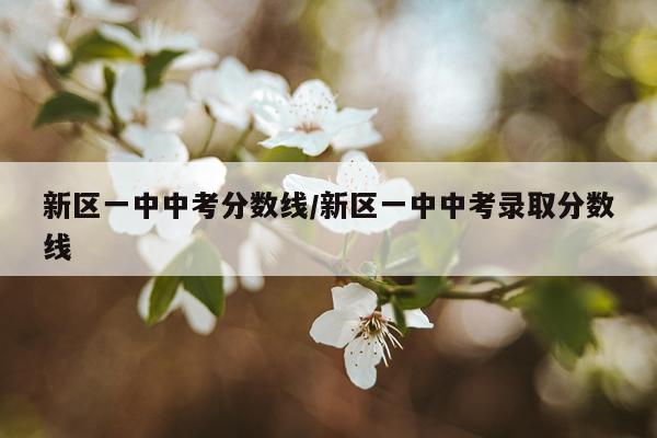 新区一中中考分数线/新区一中中考录取分数线