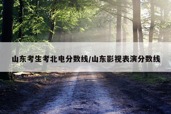 山东考生考北电分数线/山东影视表演分数线
