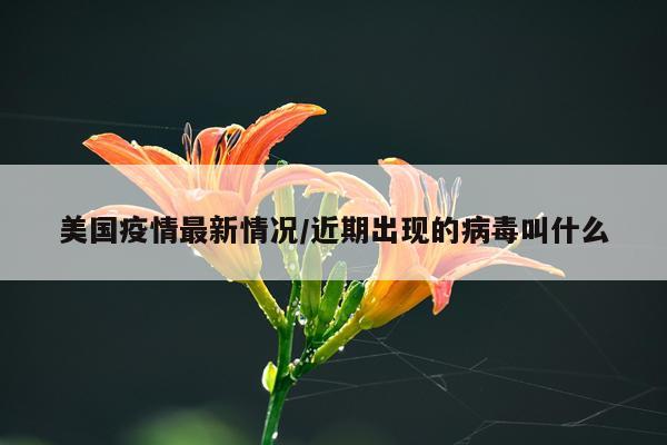美国疫情最新情况/近期出现的病毒叫什么
