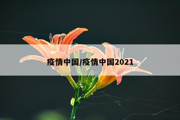 疫情中国/疫情中国2021