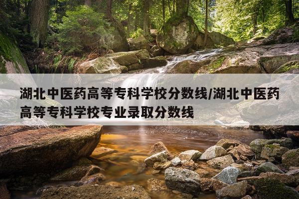 湖北中医药高等专科学校分数线/湖北中医药高等专科学校专业录取分数线