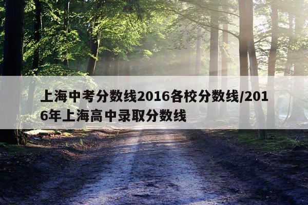 上海中考分数线2016各校分数线/2016年上海高中录取分数线