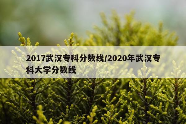 2017武汉专科分数线/2020年武汉专科大学分数线
