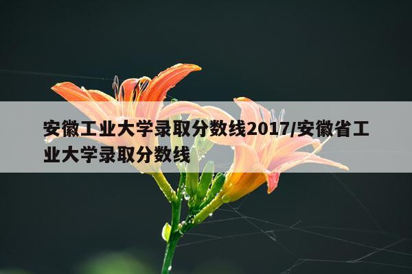 安徽工业大学录取分数线2017/安徽省工业大学录取分数线