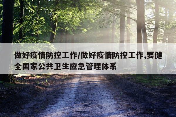 做好疫情防控工作/做好疫情防控工作,要健全国家公共卫生应急管理体系