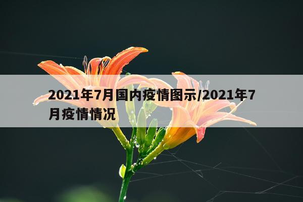 2021年7月国内疫情图示/2021年7月疫情情况