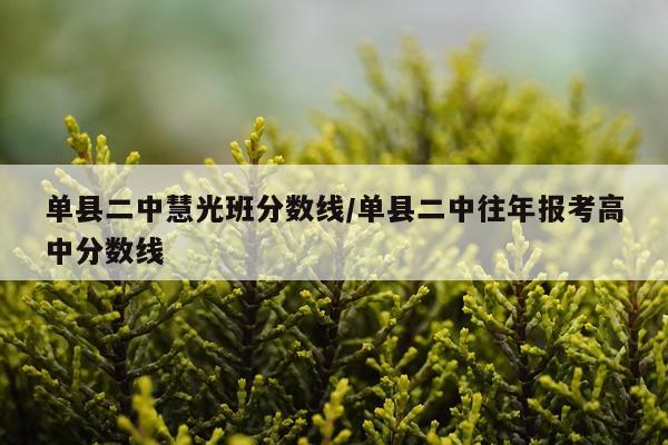 单县二中慧光班分数线/单县二中往年报考高中分数线