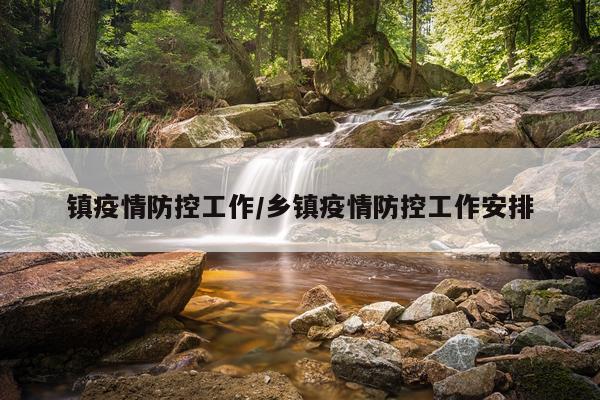 镇疫情防控工作/乡镇疫情防控工作安排