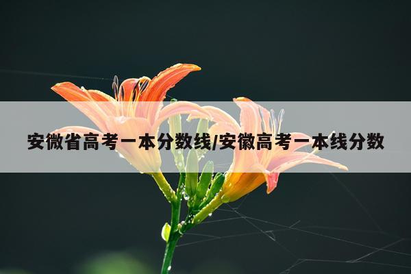 安微省高考一本分数线/安徽高考一本线分数