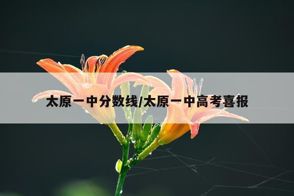 太原一中分数线/太原一中高考喜报
