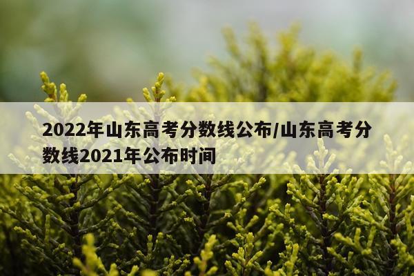 2022年山东高考分数线公布/山东高考分数线2021年公布时间